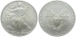 Preview: USA 1 Dollar 2009 Silver Eagle - 1 Unze Feinsilber